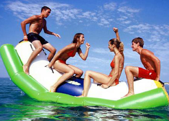 Flotteur gonflable de piscine de bascule de jouets de l'eau de bâche de PVC pour le parc d'attractions