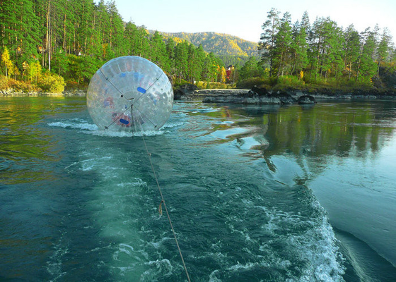 La boule claire de hamster de piscine de PVC a adapté la technologie aux besoins du client soudée imprimée par couleur d'air chaud